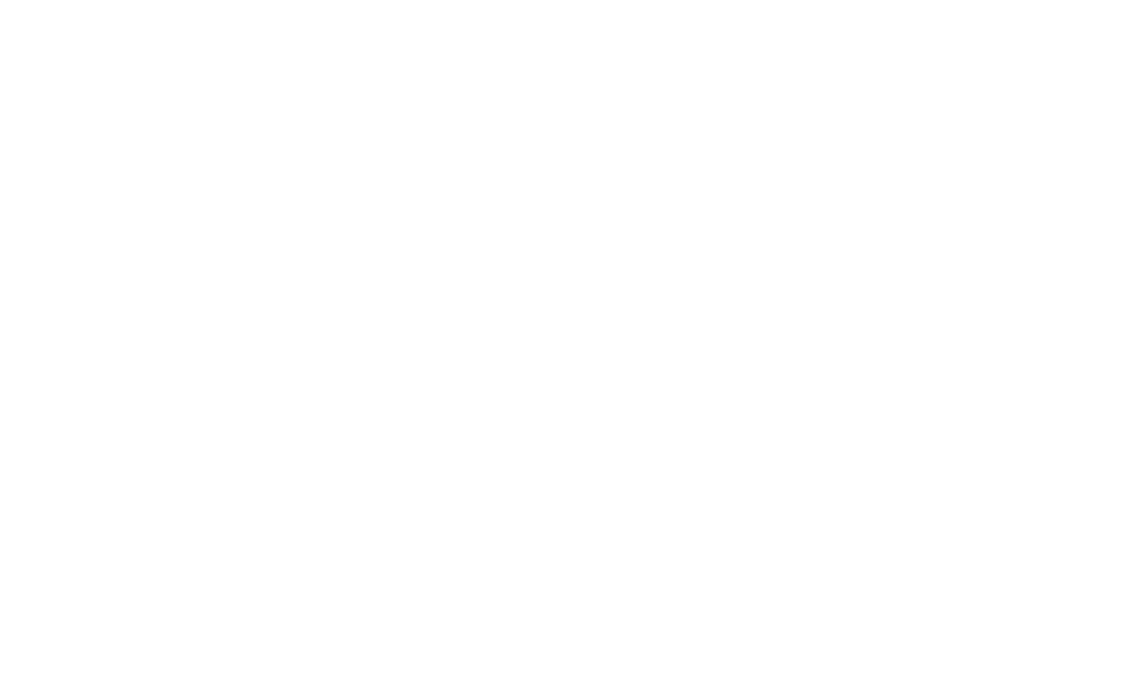 Vision Makers Network